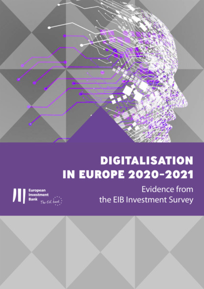 Группа авторов - Digitalisation in Europe 2020-2021