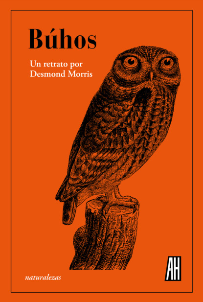 

Búhos