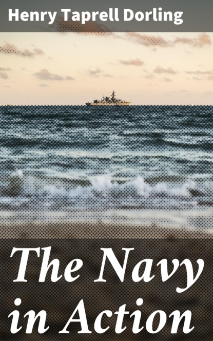 

The Navy in Action
