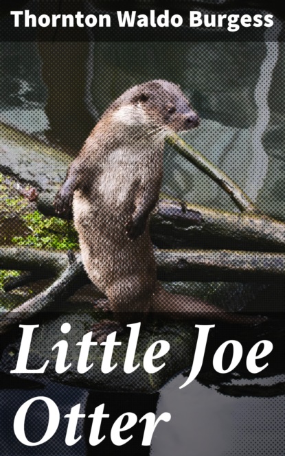 

Little Joe Otter