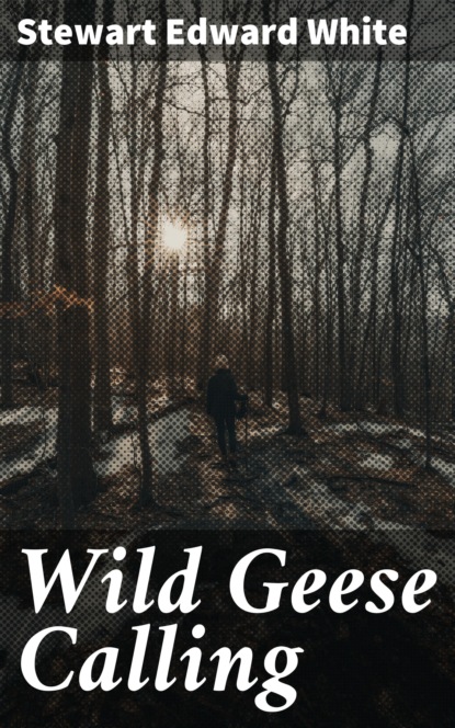 

Wild Geese Calling