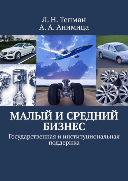 Обложка книги Малый и средний бизнес. Государственная и институциональная поддержка, Л. Н. Тепман