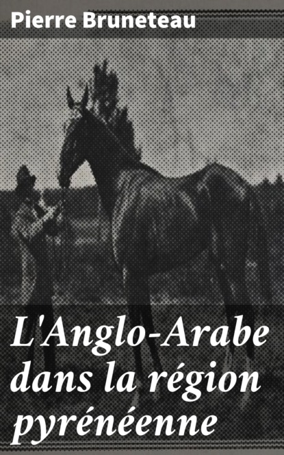 

L'Anglo-Arabe dans la région pyrénéenne