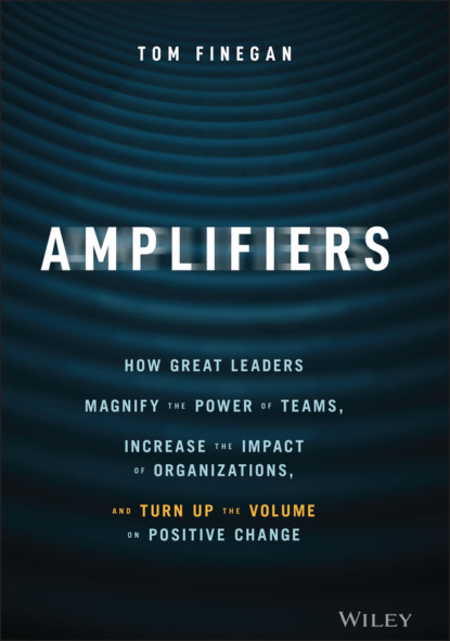 Amplifiers - Tom Finegan