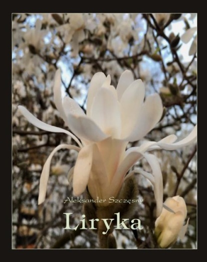 

Liryka