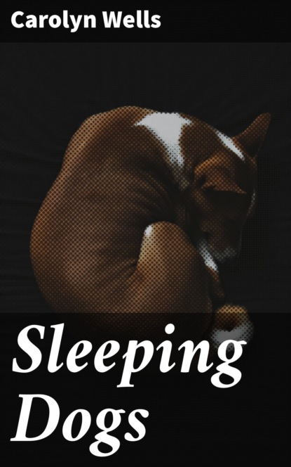 

Sleeping Dogs
