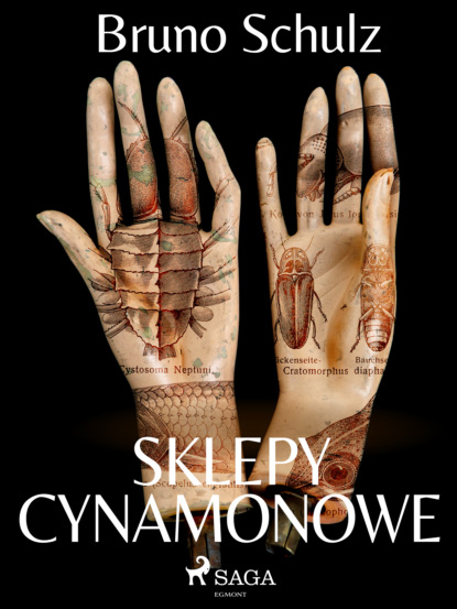 

Sklepy cynamonowe - zbiór