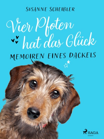 Vier Pfoten hat das Glück - Memoiren eines Dackels (Susanne Scheibler). 