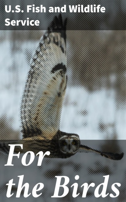 

For the Birds