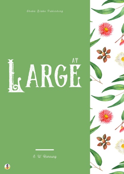 

At Large