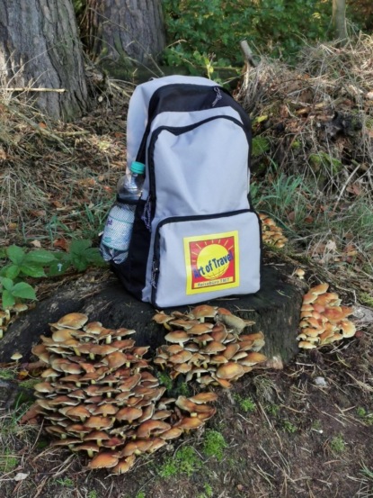 Ein Wandertag in der Sächsischen Schweiz (Birgit Kretzschmar). 