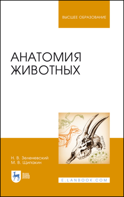 Анатомия животных - Н. Зеленевский