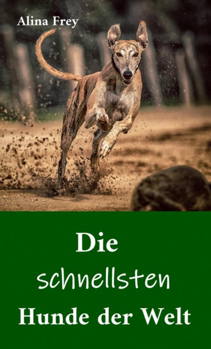 Die schnellsten Hunde der Welt