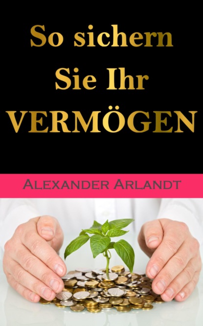 So sichern Sie Ihr Vermögen (Alexander Arlandt). 