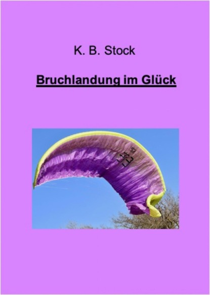 Bruchlandung im Glück (K. B. Stock). 