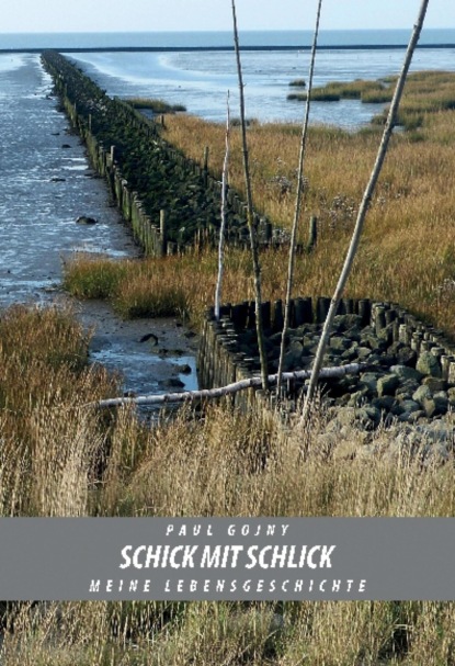 Schick mit Schlick - Meine Lebensgeschichte - Buch II