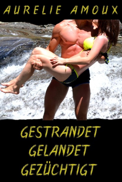 Gestrandet, gelandet, gezüchtigt (Aurelie Amoux). 