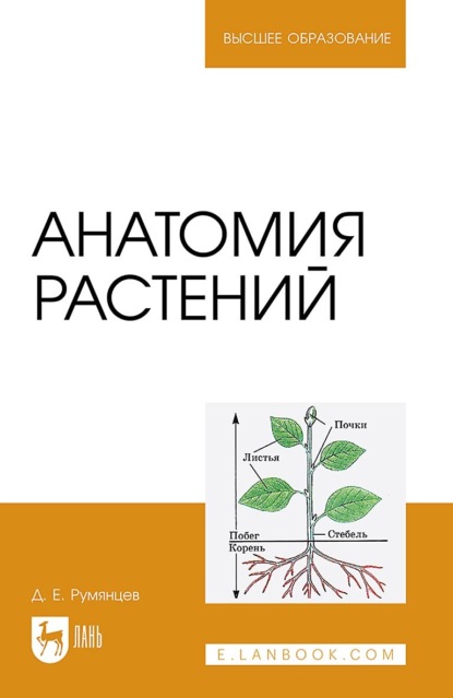 Анатомия растений. Учебное пособие для вузов (Д. Е. Румянцев). 2023г. 