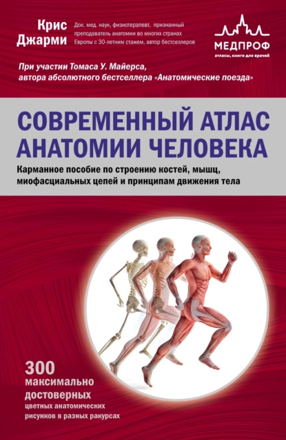 Обложка книги Современный атлас анатомии человека. Карманное пособие по строению костей, мышц, миофасциальных цепей и принципам движения тела, С. В. Котова