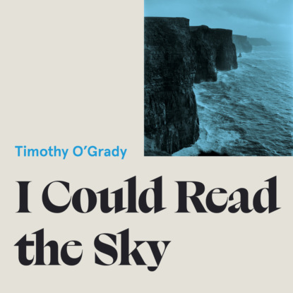 I Could Read the Sky (Unabridged) - Timothy O'Grady