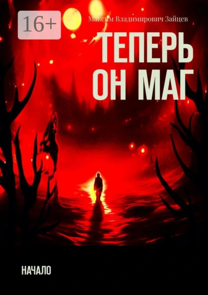 Обложка книги Теперь он маг. Начало, Максим Владимирович Зайцев