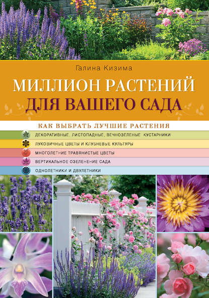 27 неприхотливых цветов для начинающих садоводов