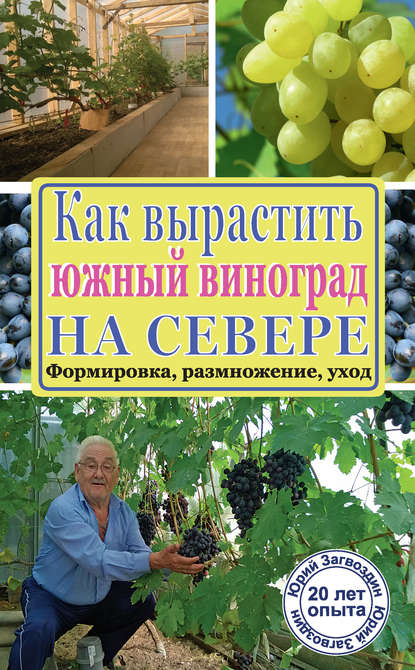 Юрий Загвоздин — Как вырастить южный виноград на севере