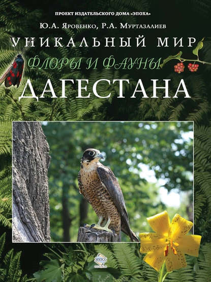 Юрий Яровенко — Уникальный мир флоры и фауны Дагестана