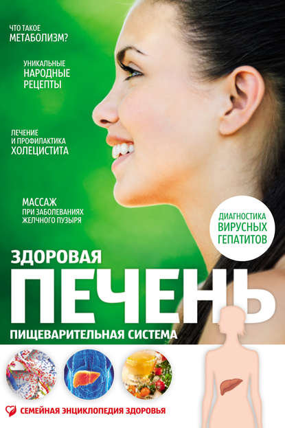 

Здоровая печень. Пищеварительная система