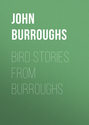 Bird Stories from Burroughs