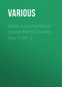 Birds, Illustrated by Color Photography, Vol. 1, No. 2