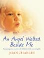 An Angel Walked Beside Me: Amazing stories of children who touch the other side