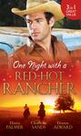 One Night with a Red-Hot Rancher