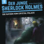 Der junge Sherlock Holmes, Folge 7: Die Katzen vom Crystal Palace