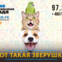В России могут вернуть лицензирование ветеринарных клиник. Вырастет ли качество услуг?