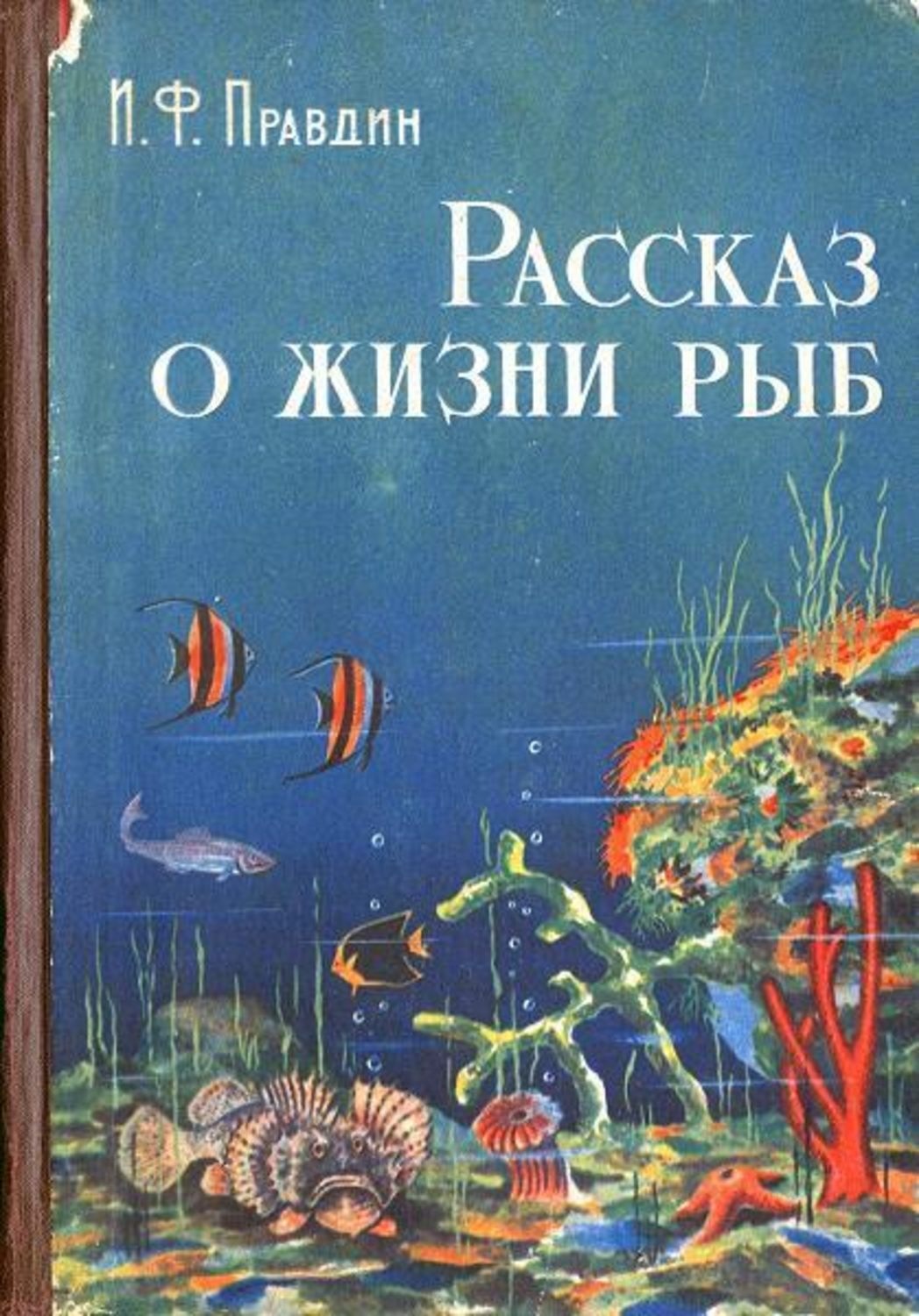 Жизнь рыб. Книги о рыбах. Детская литература про рыб. Книги о рыбах Художественные. Правдин рассказ о жизни рыб.