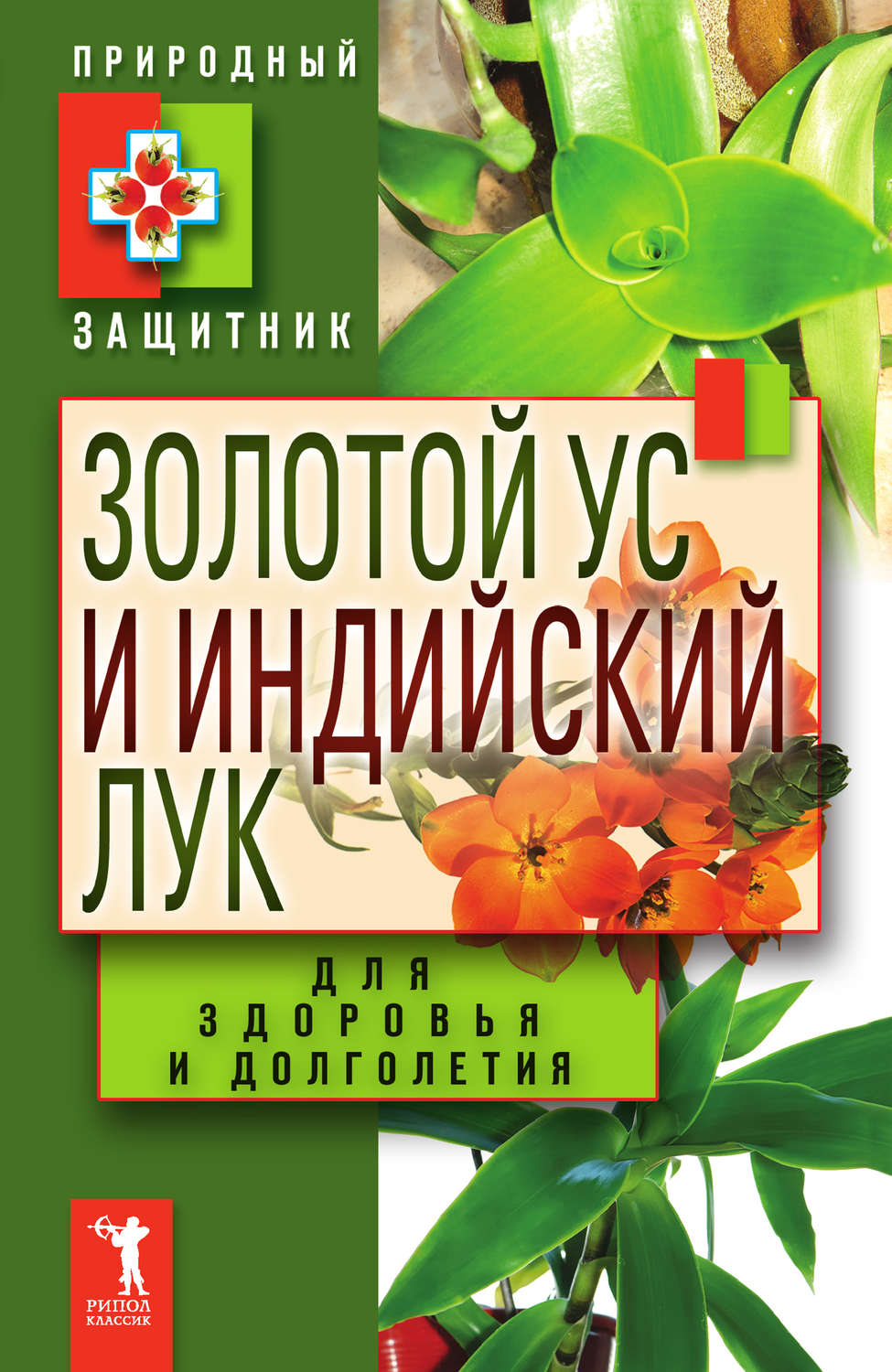 книга Золотой ус и индийский лук для здоровья и долголетия – скачать fb2,  epub, pdf бесплатно – Альдебаран, серия Природный защитник