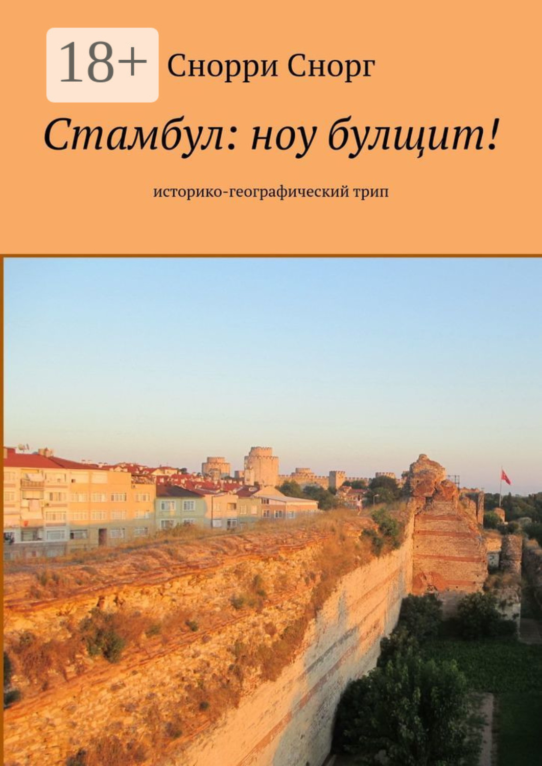 булщит тимонки. средневековый рыцарский щит. агентство щит марвел. щит скутум средневековый. щит hammer universal shield.