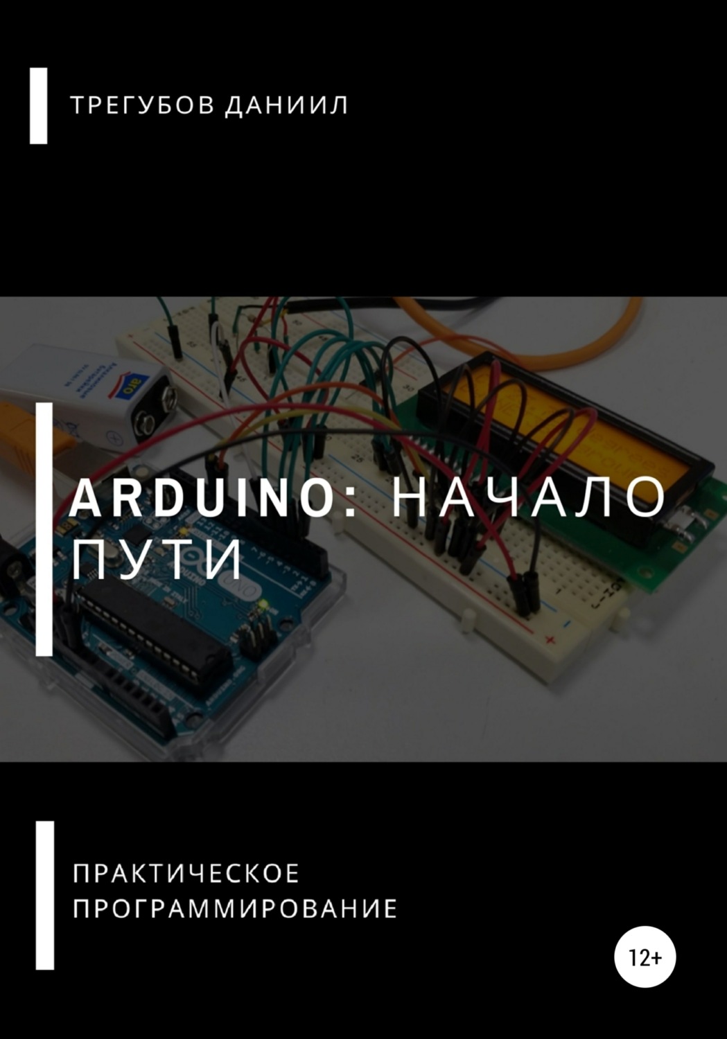 Даниил Евгеньевич Трегубов книга Arduino: Начало пути – скачать fb2, epub,  pdf бесплатно – Альдебаран