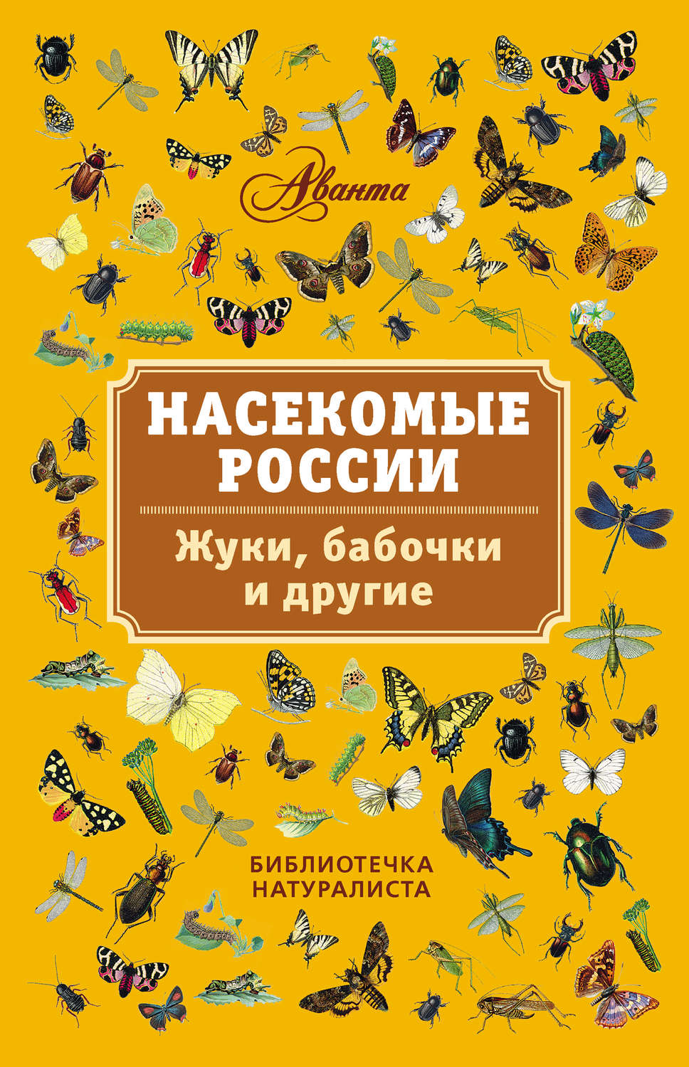 Книга про насекомых для детей с картинками