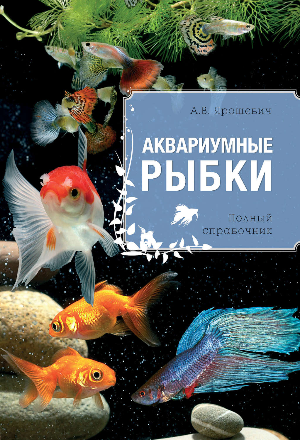 «Аквариумные рыбки», Анжелика Ярошевич – скачать pdf на Литрес