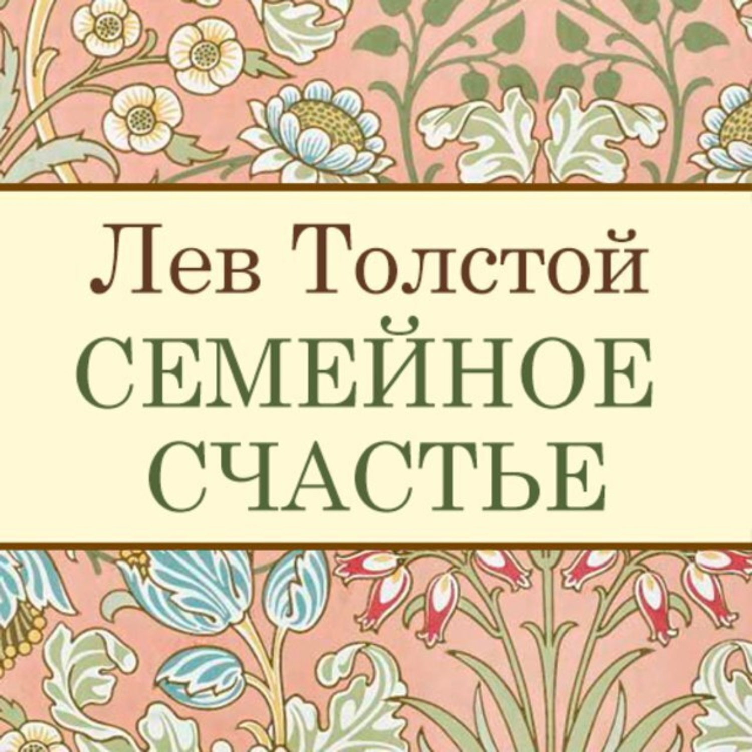 Книга семейная счастье толстой. Семейное счастие Лев толстой книга. Лев Николаевич толстой семейное счастье. Семейное счастье книга.