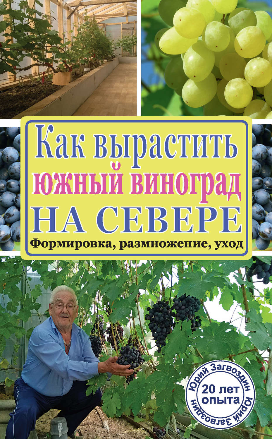 Как вырастить южный виноград на севере, Юрий Загвоздин – скачать книгу fb2,epub, pdf на Литрес