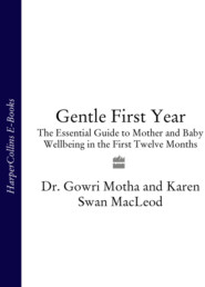 Gentle First Year: The Essential Guide to Mother and Baby Wellbeing in the First Twelve Months