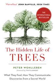 The Hidden Life of Trees: The International Bestseller – What They Feel, How They Communicate