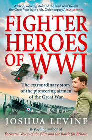 Fighter Heroes of WWI: The untold story of the brave and daring pioneer airmen of the Great War