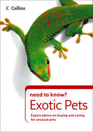 Exotic Pets