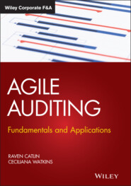 Agile Auditing