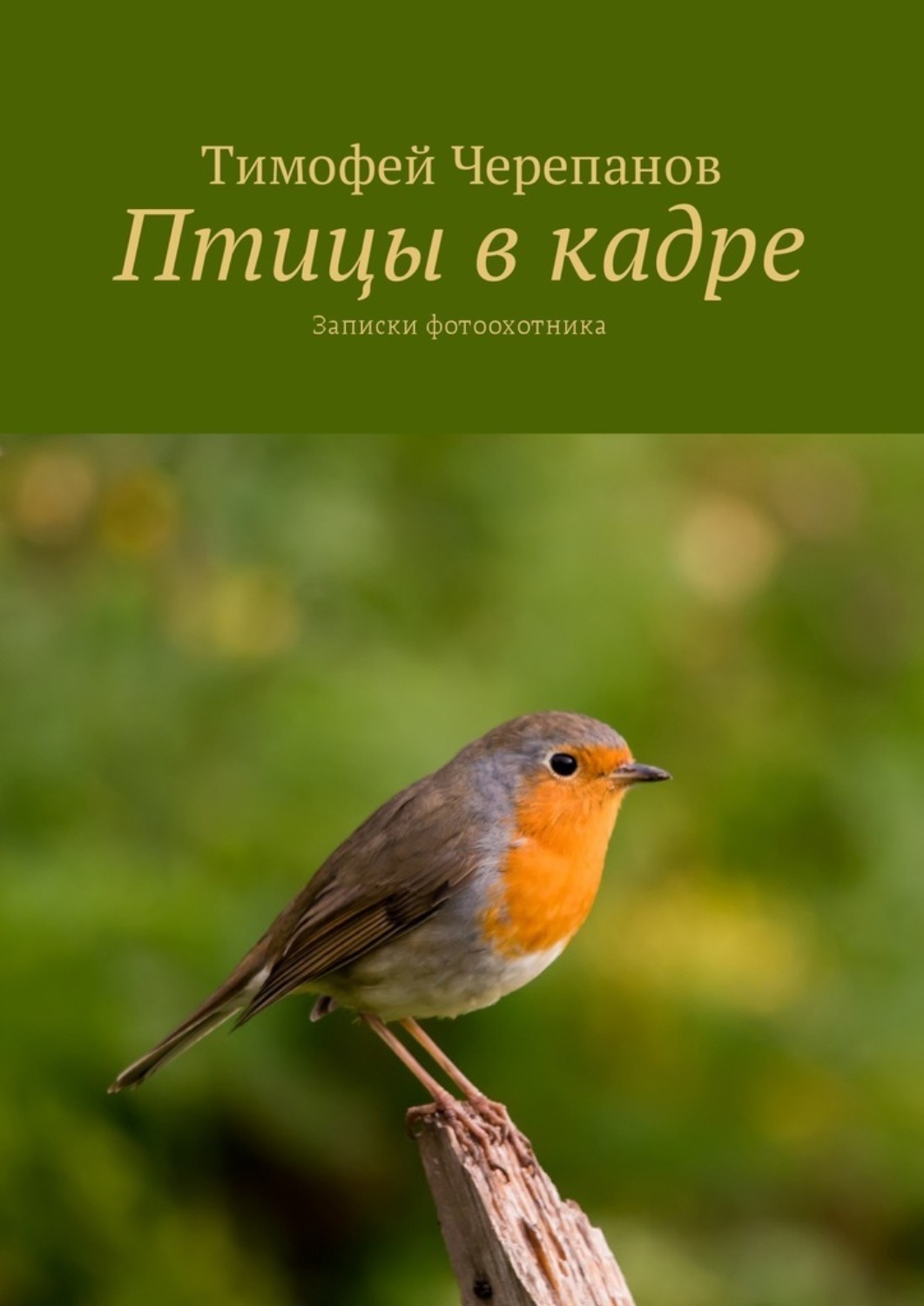 Книга птицы. Тимофей Черепанов 