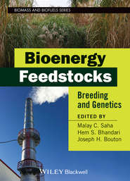 Bioenergy Feedstocks